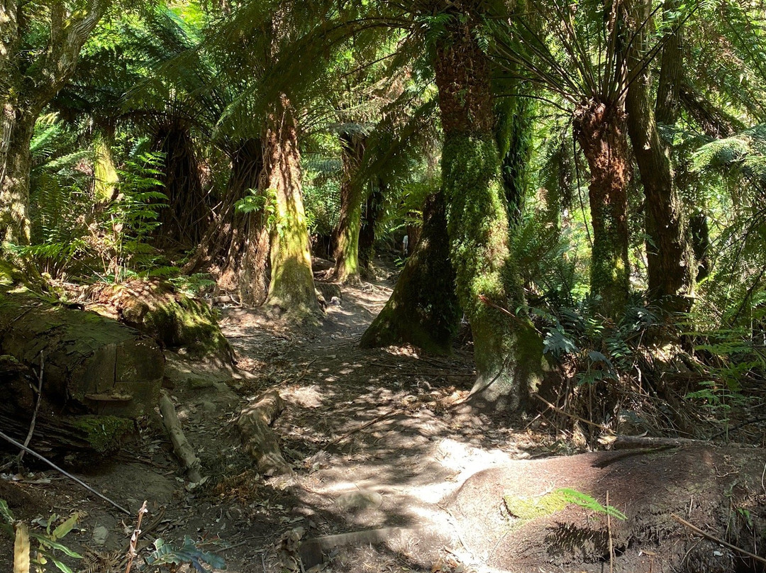 Westmorland Falls-茉莉溪必去景点