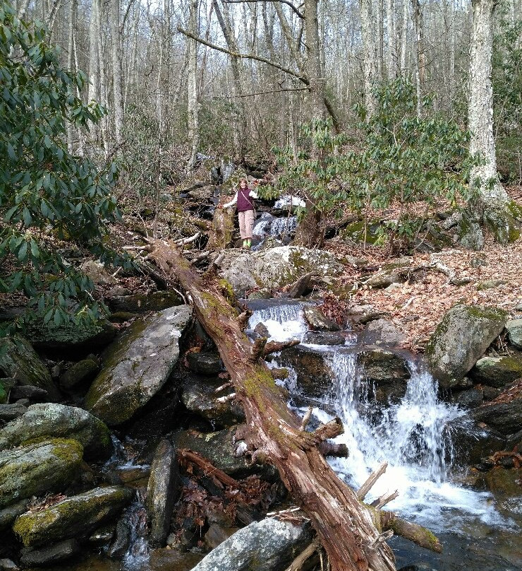 Graybeard Trail景点图片