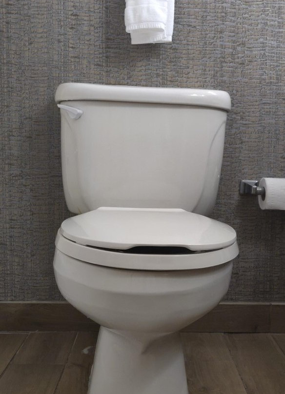 奥斯丁/朗德罗克希尔顿花园酒店主图