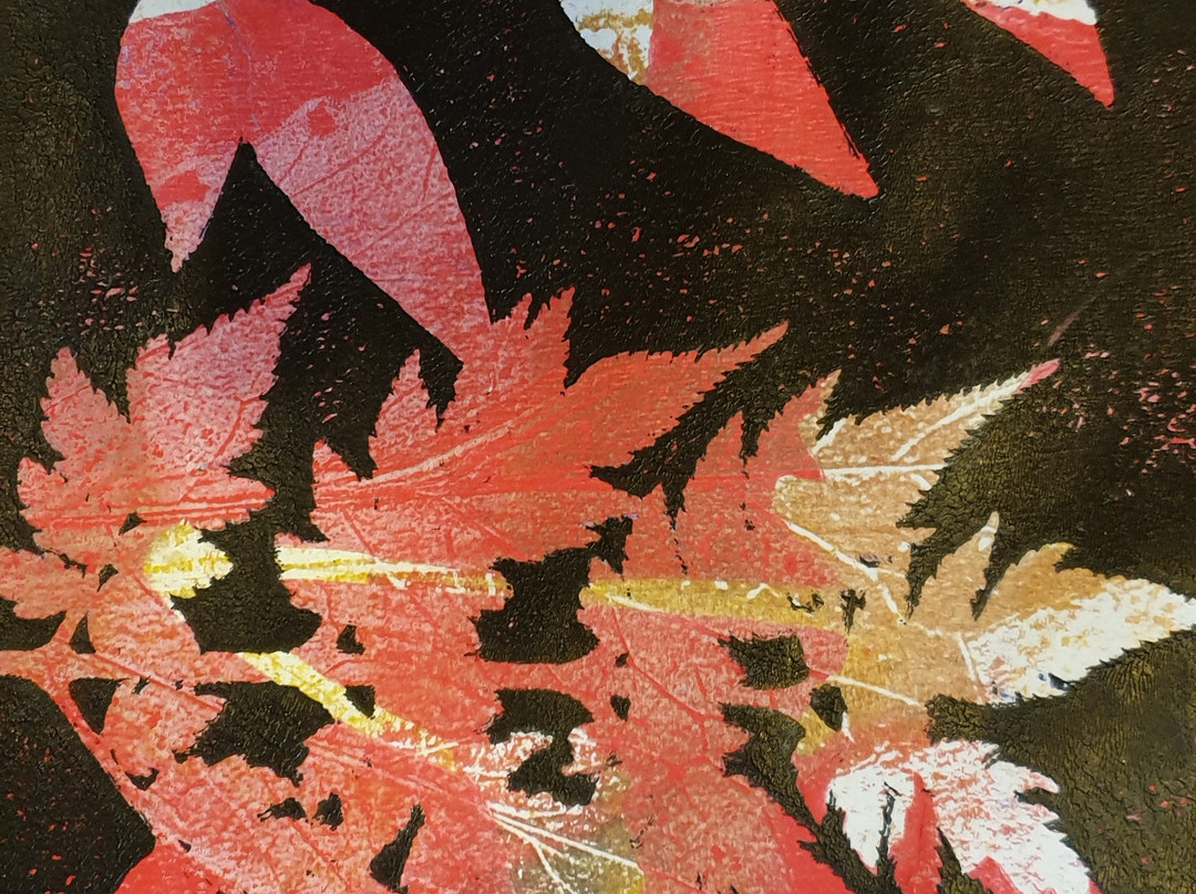 Studio Maromia-Amirim必去景点