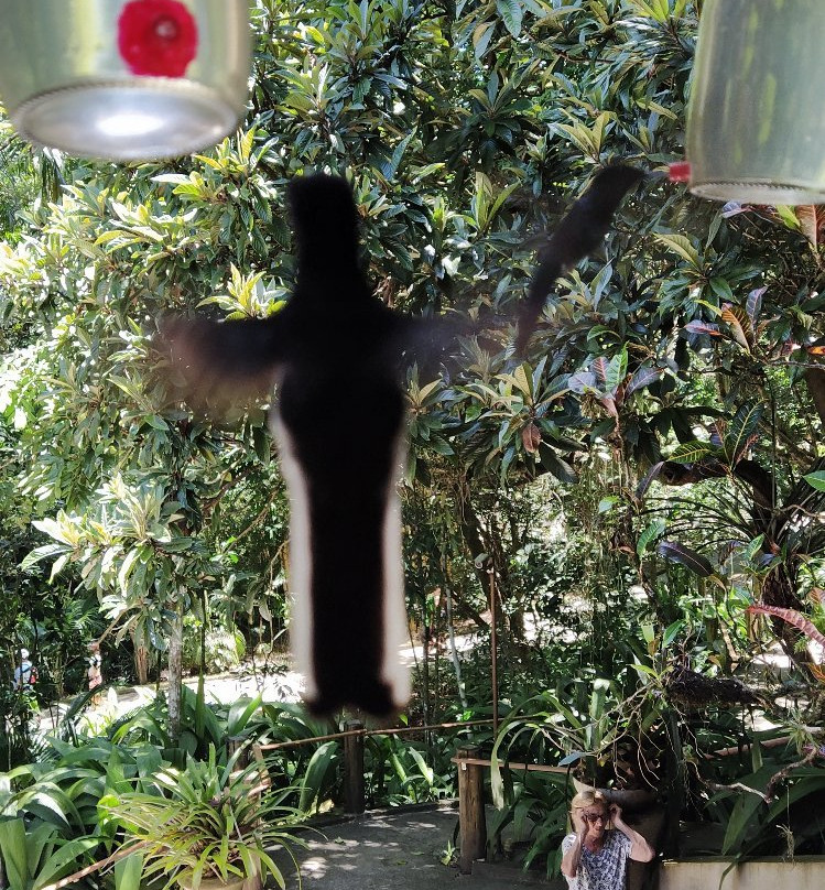 Museu de Biologia Prof. Mello Leitão景点图片