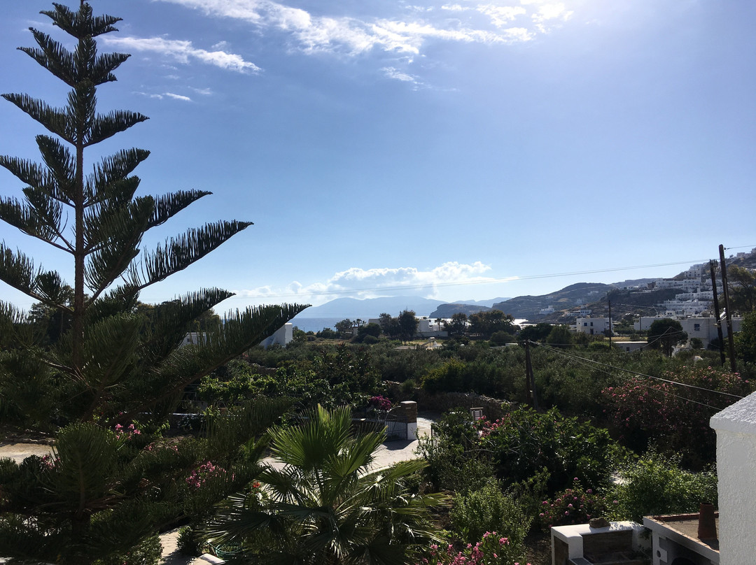 Island House Hotel主图