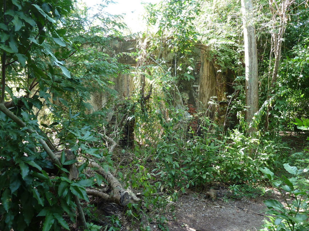 Sugar Mill Ruins-维切克岛必去景点