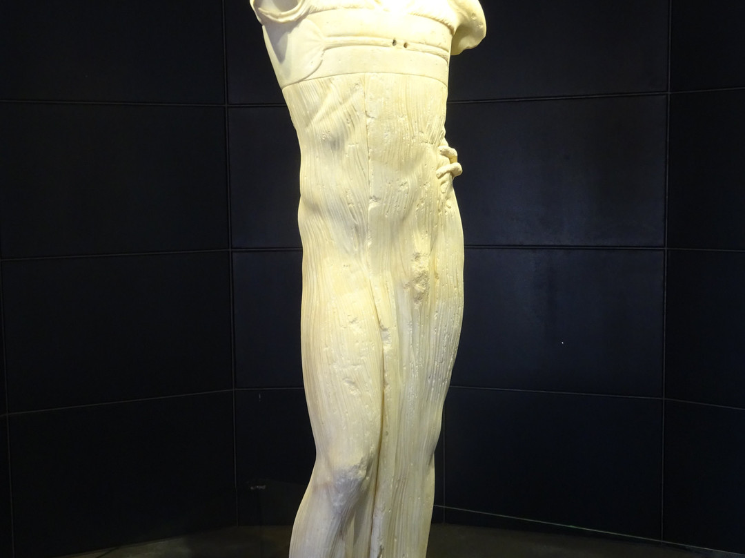 Museo Whitaker-马尔萨拉必去景点