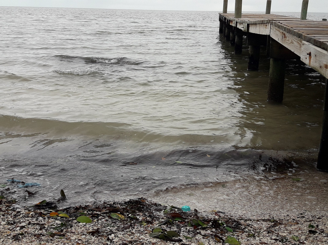 Playa Punta San Julian-卡门城必去景点