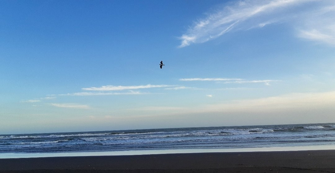 Reta-Tres Arroyos必去景点