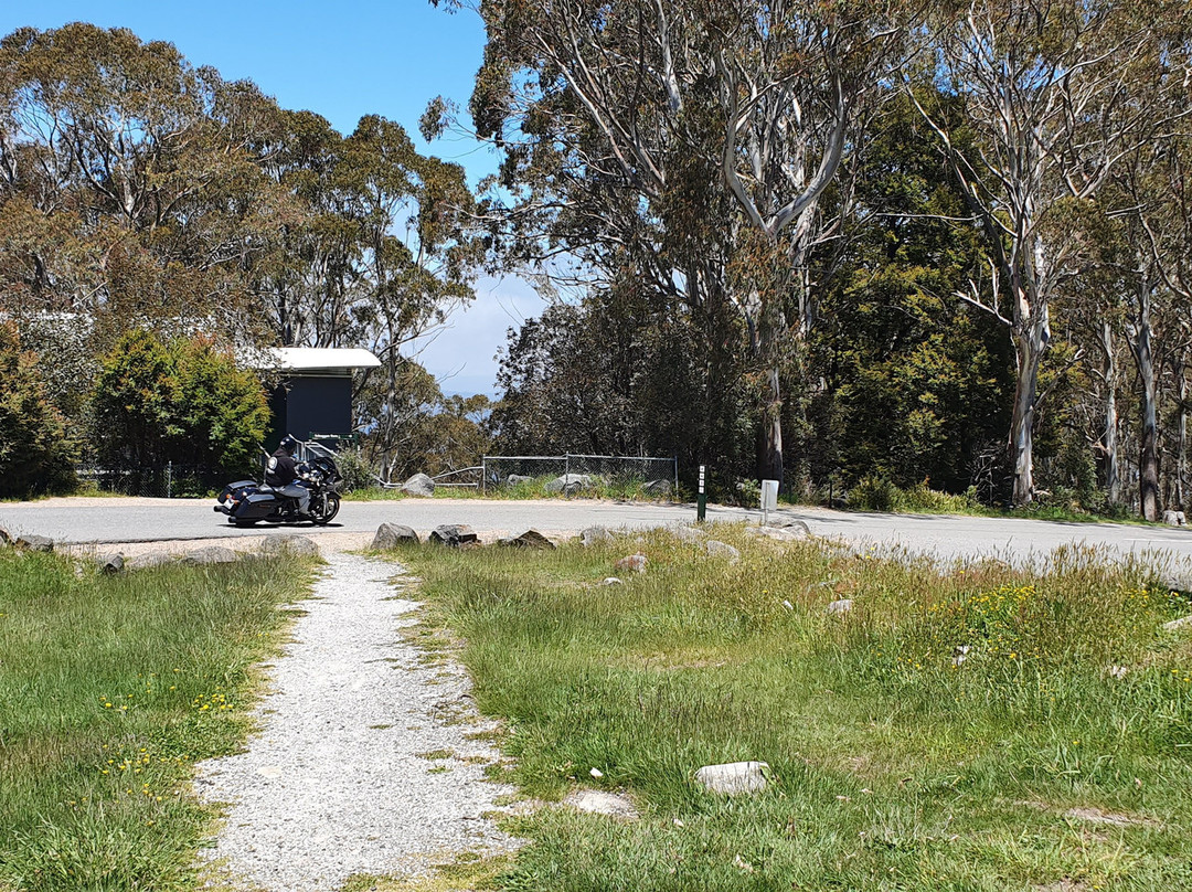 Mount Donna Buang景点图片