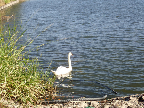 Teganuma Shinsui Plaza & Mizu no Yakata-我孙子市必去景点