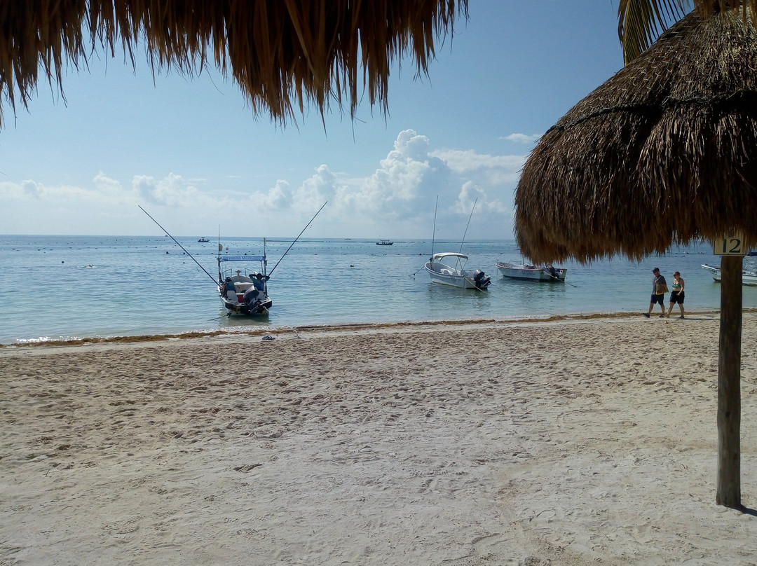 Centro Ecologico Akumal-艾库玛尔必去景点