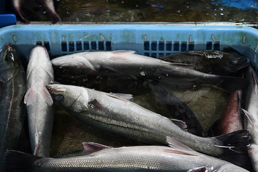 Suhyup Susanmul Center