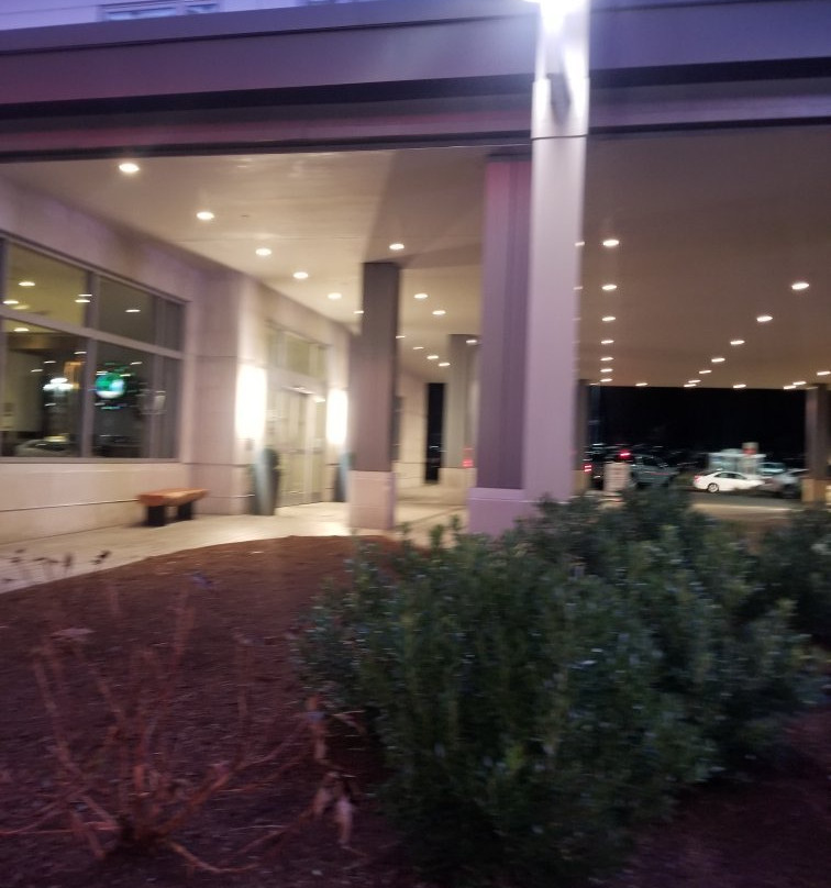 Hilton Garden Inn Foxborough Patriot Place主图