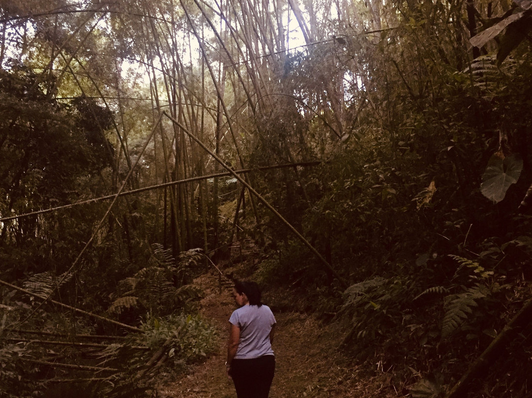 Eco Hotel La Casona主图