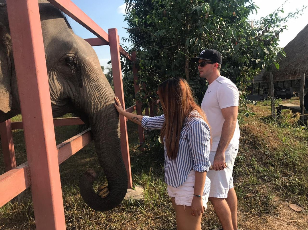 Cambodia Wildlife Sanctuary景点图片