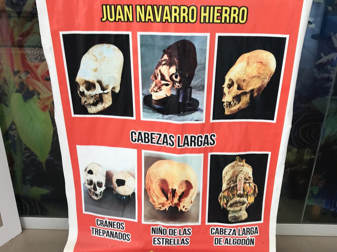 Paracas History Museum -  Juan Navarro Hierro-帕拉卡斯必去景点