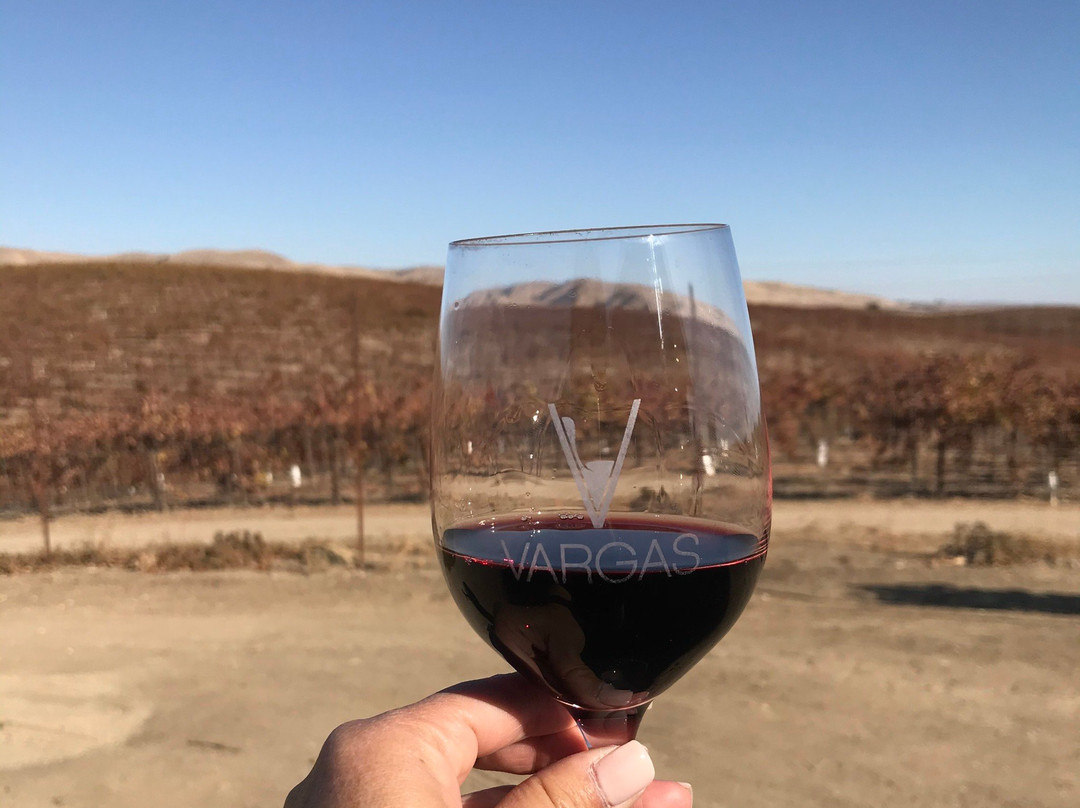 Vino Vargas Winery景点图片
