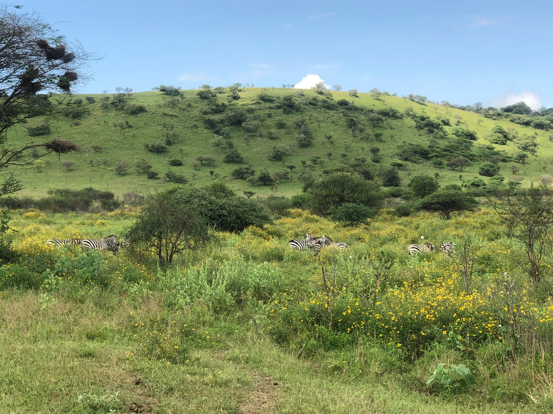 Nechisar National Park景点图片