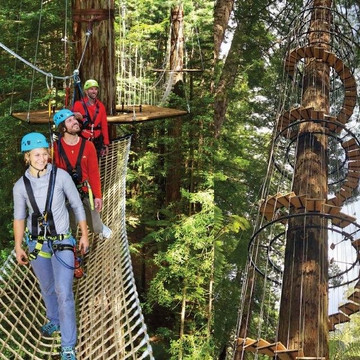 Redwoods Altitude-罗托鲁瓦必去景点