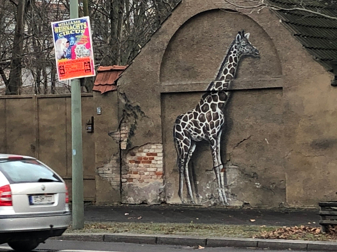 柏林动物园景点图片