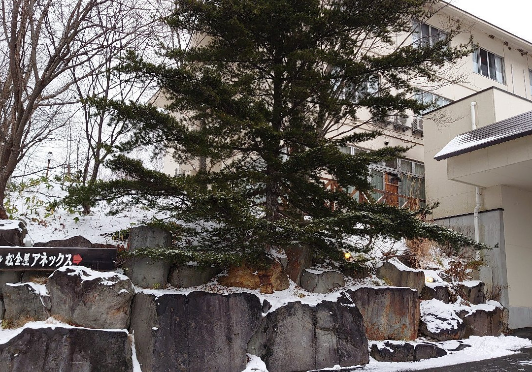 山形松金屋主图
