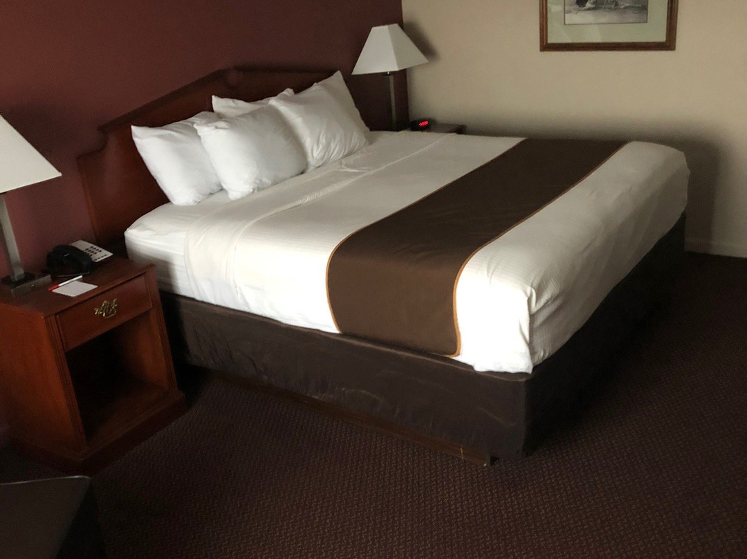 德斯普兰斯贝斯特韦斯特酒店主图