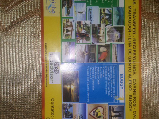 Cavalo Marinho Catamaran-嘎林海斯港必去景点