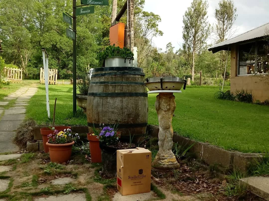 The Wine Cellar-Rosetta必去景点