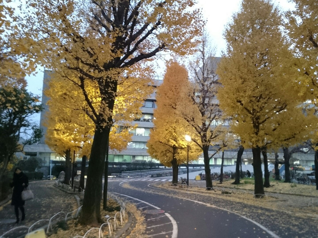 Arakawa Park-荒川区必去景点