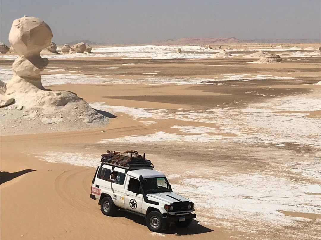 White Desert Camp Safari-Bawiti必去景点
