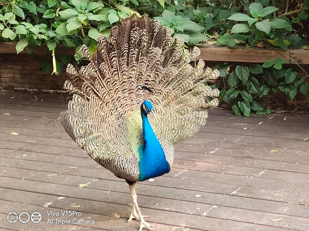 Off The Beaten Track-清迈必去景点