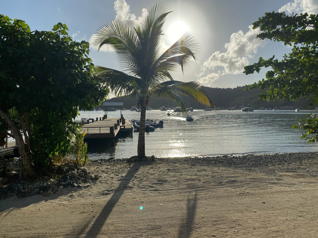 Foxy's Bar-Jost Van Dyke必去景点