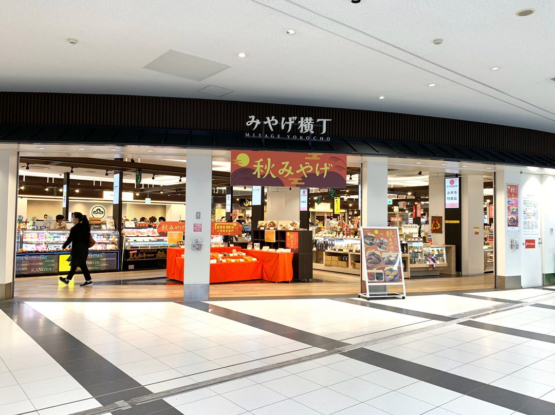 Ekimachi 1Chome Kagoshima-鹿儿岛市必去景点