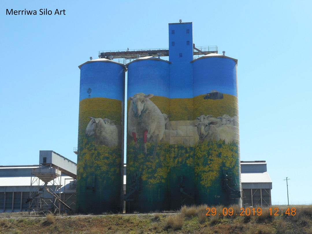 Merriwa Silo Art-Merriwa必去景点