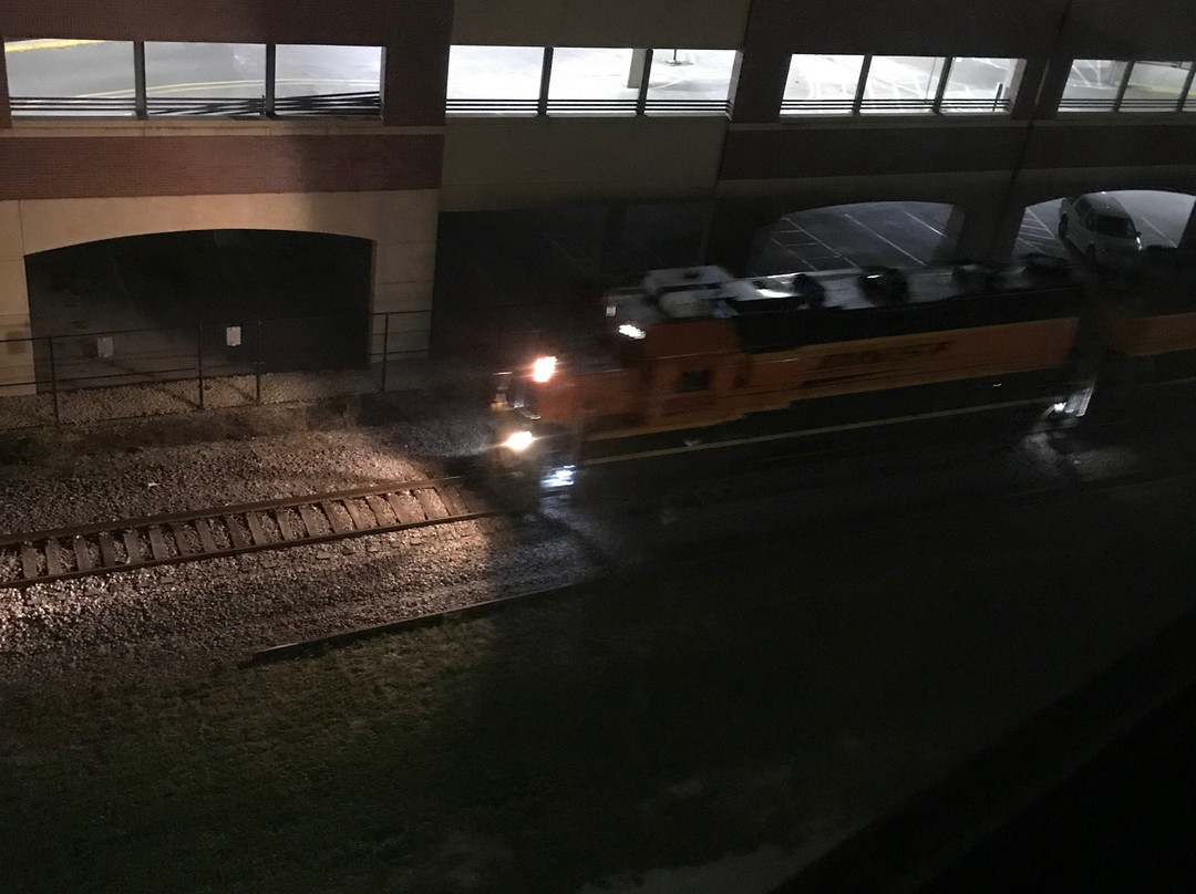 Element Moline主图