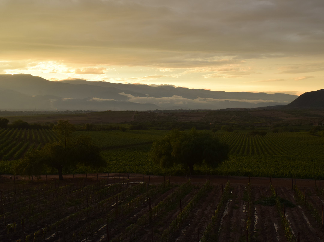 Bodega Aranjuez 1976-塔里哈必去景点