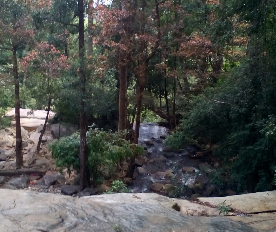 Vazhvanthol Waterfalls-提卢湾安塔普兰（特里凡德伦）必去景点