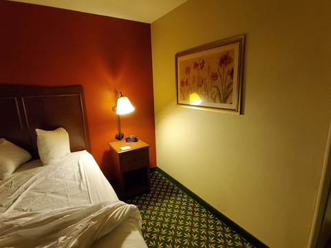 Comfort Inn & Suites主图