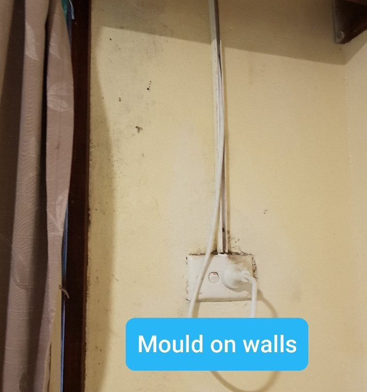 东方大酒店主图