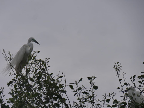 Tangalle Lagoon - Kayak-唐卡拉必去景点