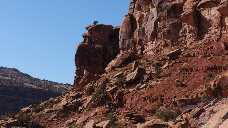 Dominguez Canyon景点图片