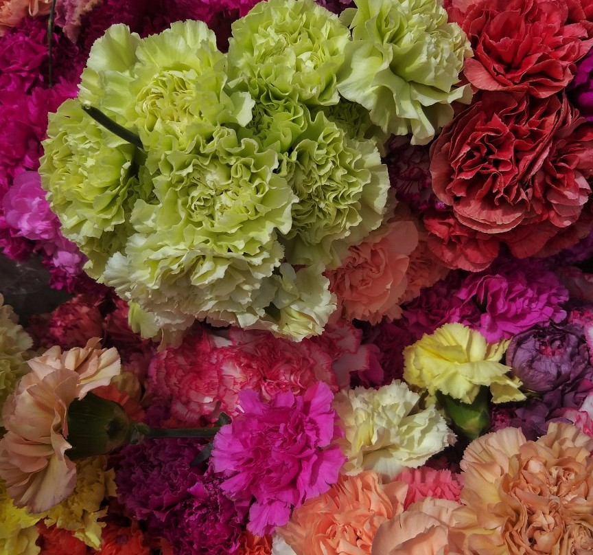 Plaza de Mercado Paloquemao-波哥大必去景点