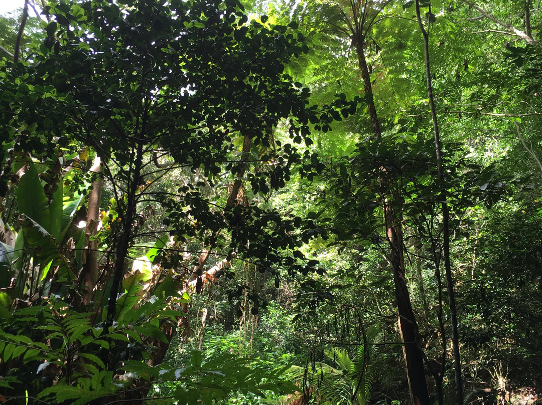 Grotte de Hortense-Ile Des Pins必去景点