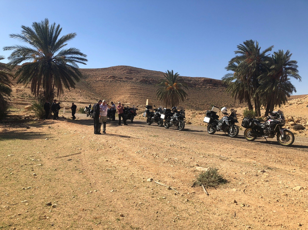 Guided Motorbike Tours-福克斯通必去景点