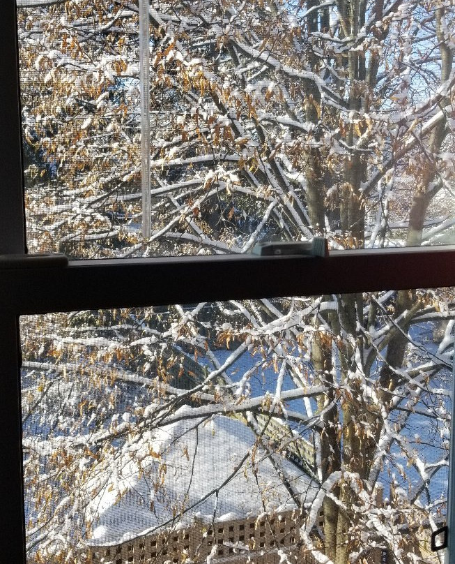 Agincourt Manor主图