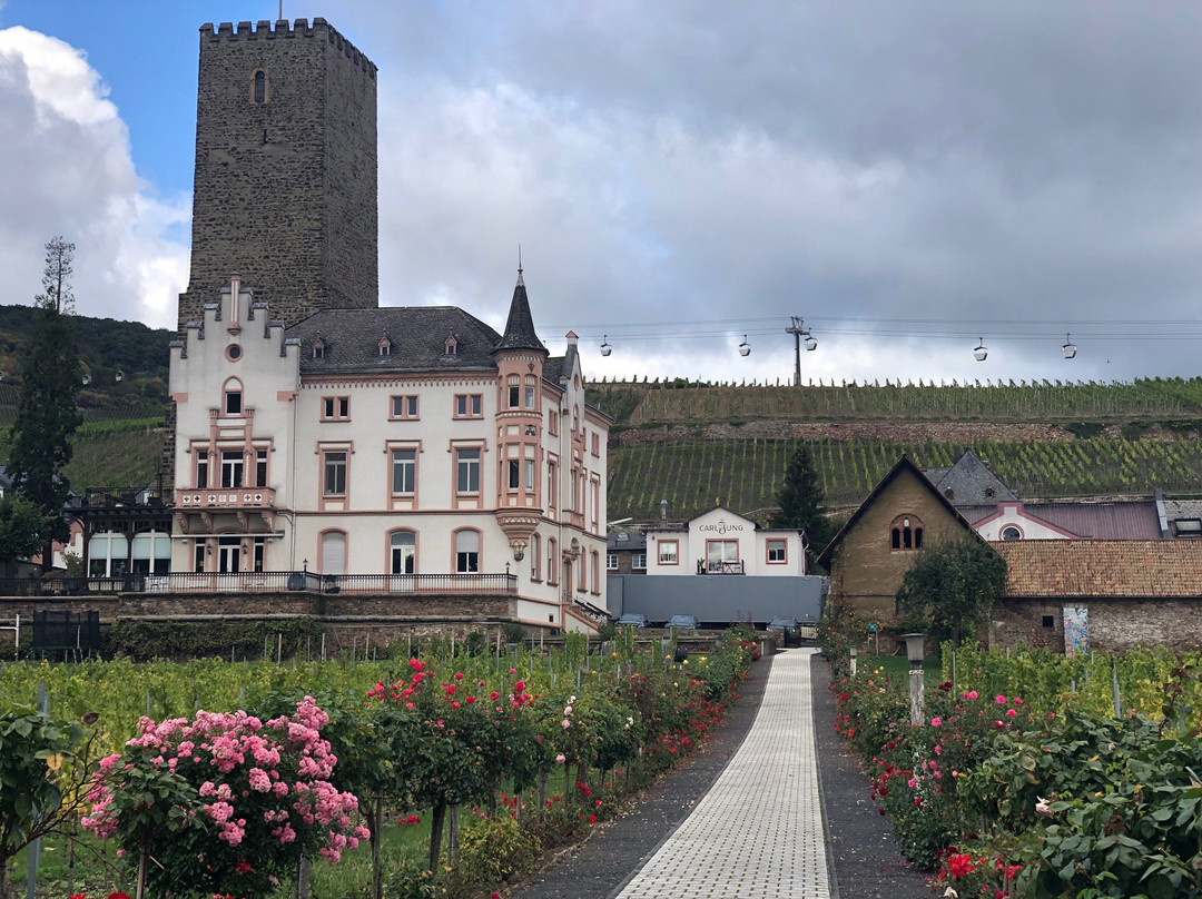 Rheingau Wine Museum Broemserburg Castle-吕德斯海姆必去景点