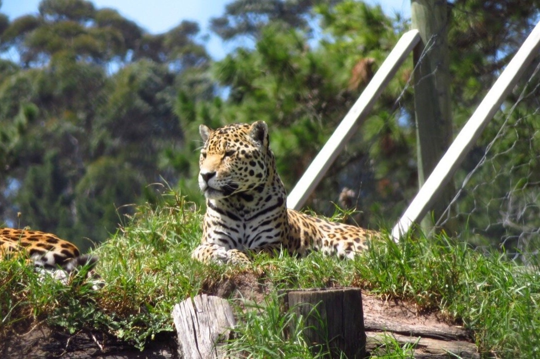 Jukani Wildlife Sanctuary-The Crags必去景点