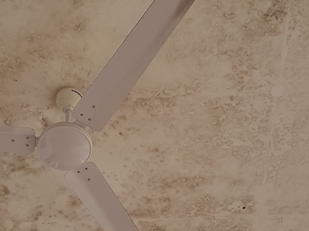 Cormorant Lake Resort主图