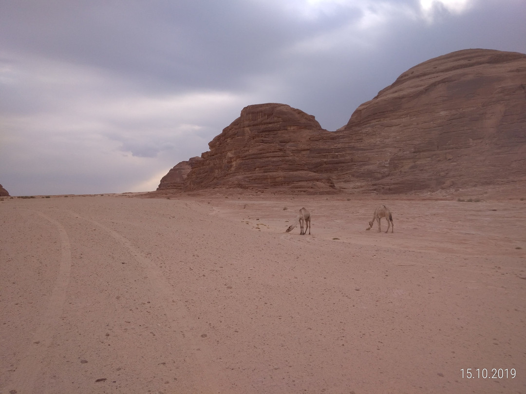 Sinai Trail景点图片