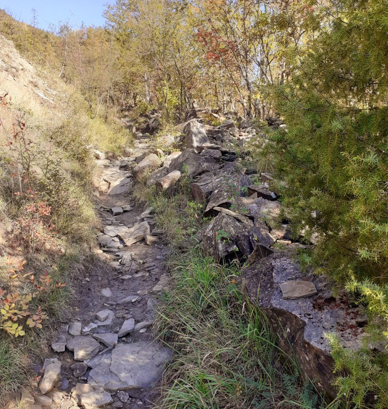 La Valle del Carlone e le sue cascate景点图片