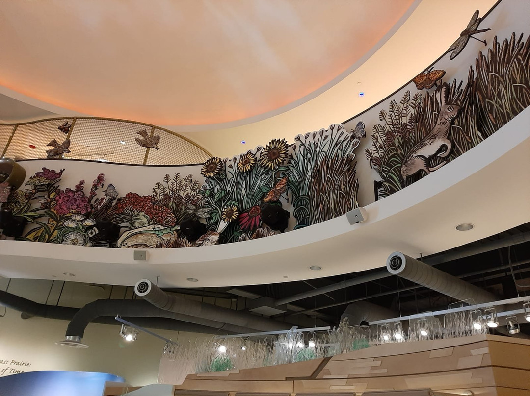 Flint Hills Discovery Center景点图片