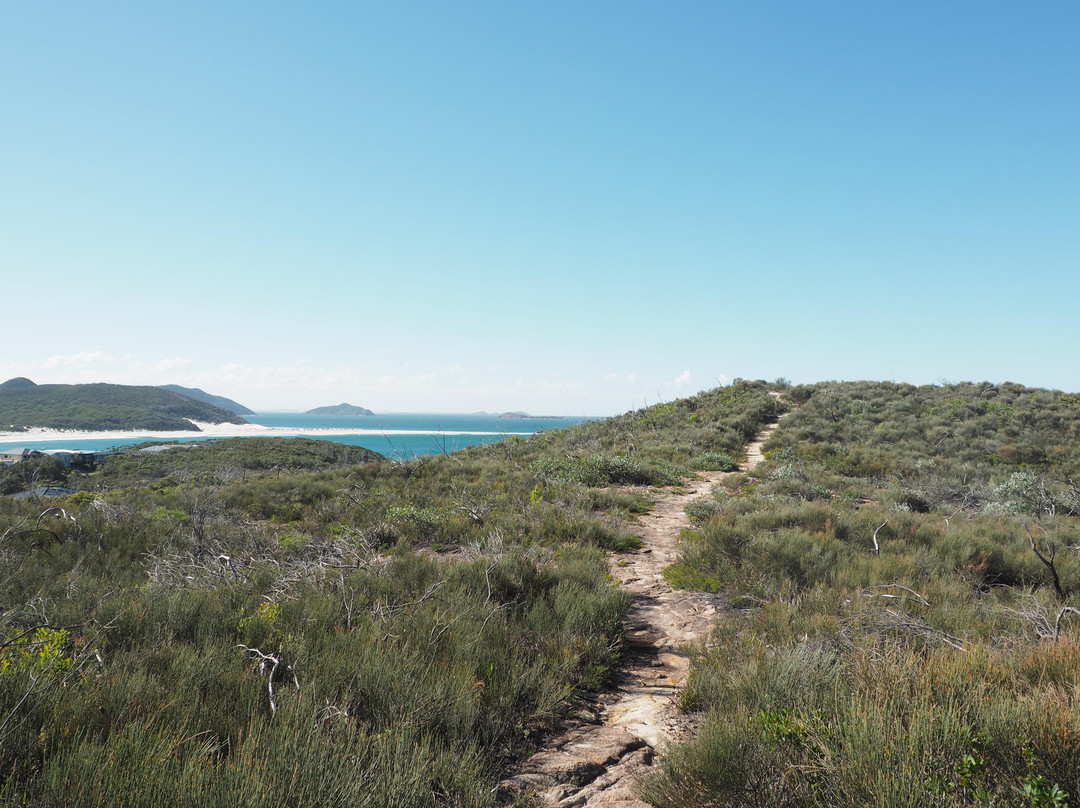 Tomaree Coastal Adventures-史蒂芬斯港必去景点